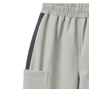 Брюки софтшелл Wheat, серый агат